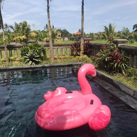 Anggarakasih Ubud Villa 외부 사진