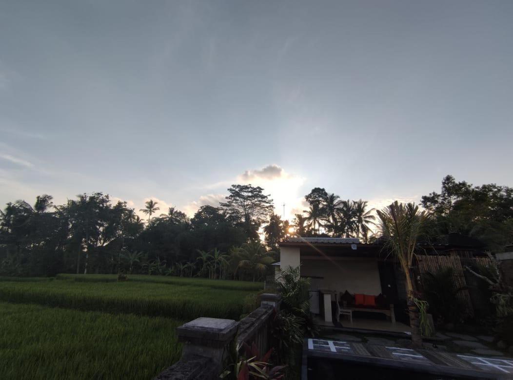 Anggarakasih Ubud Villa 외부 사진