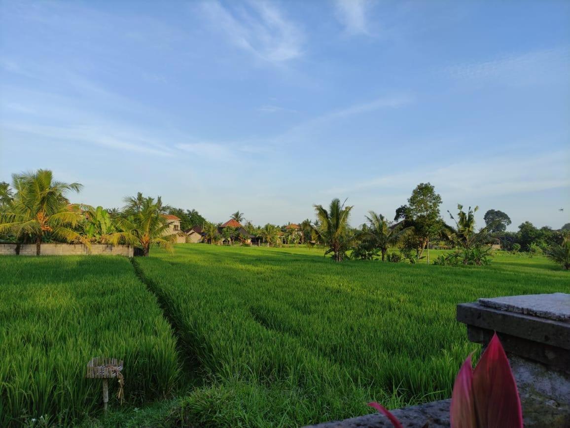 Anggarakasih Ubud Villa 외부 사진